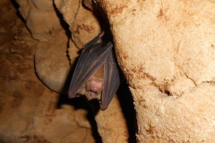 grotta-tanella-pai-torri-del-benaco-0007