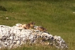 monte-baldo-malcesine-0005