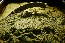 molitura-olive-produzione-olio-extravergine-lagodigarda-13