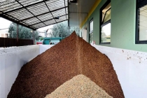 molitura-olive-produzione-olio-extravergine-lagodigarda-15