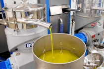 molitura-olive-produzione-olio-extravergine-lagodigarda-16