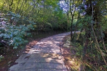 ponte-tibetano-torridelbenaco-sentiero-da-pai-08