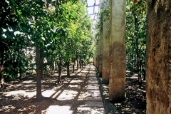 torri-del-benaco-0005